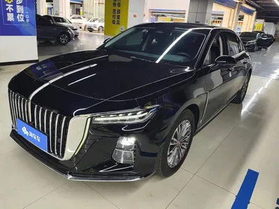 2023 Hongqi H5 2.0T Auto Smart Connect Flag Enjoy, фото 1, лот 11200603