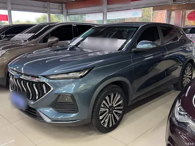 2021 Changan Oshan Changan Oushang X5 1.5T DCT Luxury, фото 1, лот 11148464