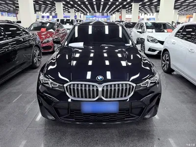 2024 BMW 3 Series 320Li M Sport Package, фото 3, лот 11448973