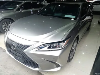 2021 Lexus ES 260 Excellence Edition, фото 1, лот 10319604