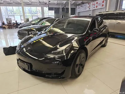 2022 Tesla Model 3 Model Rear-Wheel Drive Version, фото 1, лот 10481677