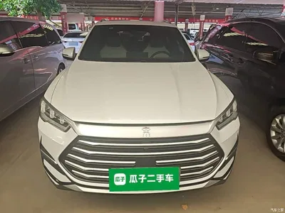 2022 BYD Song Pro New Energy DM-i 51km Premium, фото 3, лот 10276823