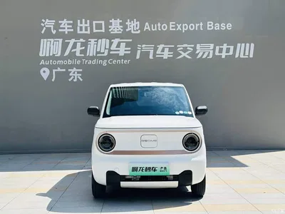 2023 Geely Galaxy Panda Mini 200km Endurance Bear, фото 2, лот 10403348