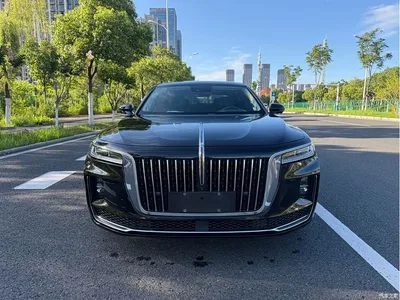 2020 Hongqi H9 2.0T Smart Connection Qi Xiang Edition, фото 2, лот 10304234