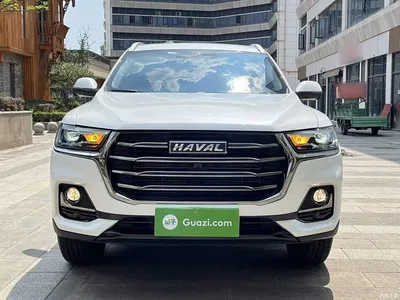 2021 Haval H6 National Trend Edition 1.5GDIT Automatic Champion Edition, фото 3, лот 10286069