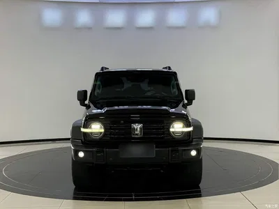 2021 Tank 300 Off-road Version 2.0T Conqueror, фото 3, лот 10345632