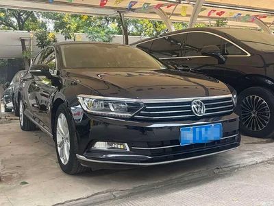2019 Volkswagen Magotan 330TSI DSG Luxury China V, фото 3, лот 10436163