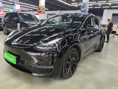 2021 Tesla Model Y Standard Range Rear-Wheel Drive, фото 2, лот 10370065