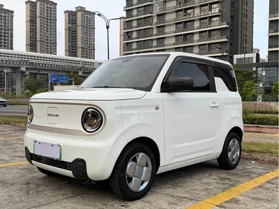 2023 Geely Galaxy Panda Mini 200km Endurance Bear, фото 1, лот 10431425