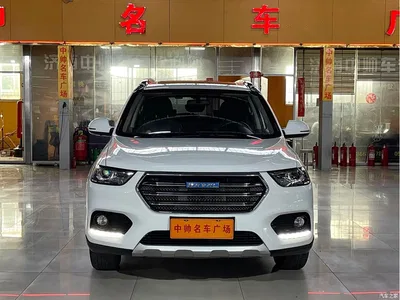 2017 Haval H6 Blue Label Sport 1.5T Auto 2WD Luxury, фото 2, лот 10300844