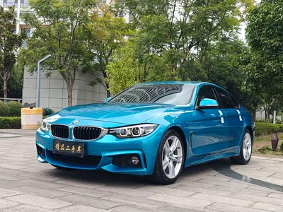 2017 BMW 4 Series 425i Gran Coupe Leading M Sport Package, фото 1, лот 10468672