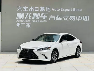 2022 Lexus ES 300h Excellence Edition, фото 1, лот 10311898