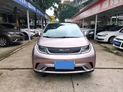 2021 BYD Dolphin Model 405km Fashion Edition, фото 2, лот 11087434