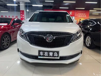 2018 Buick GL8 ES 28T Luxury Type China VI, фото 2, лот 10255398