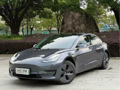 2019 Tesla Model 3 Standard Range Rear-Wheel Drive Upgrade, фото 1, лот 10392845