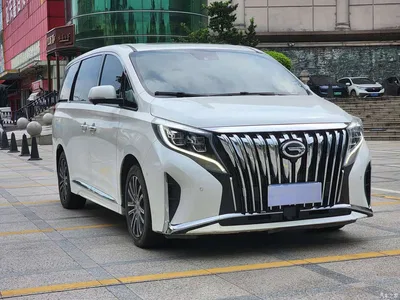 2021 GAC Trumpchi Trumpchi M8 Leading Series 390T Flagship, фото 2, лот 10765272