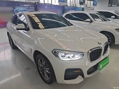 2020 BMW X4 xDrive25i M Sport Package, фото 4, лот 11198497