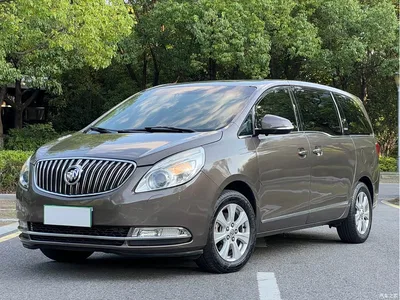 2014 Buick GL8 3.0L GT Luxury Business Elegance, фото 1, лот 10338357
