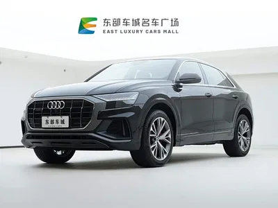 2019 Audi Q8, фото 1, лот 10232611
