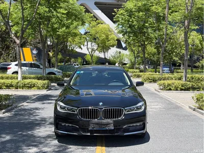 2016 BMW 7 Series 730Li Leading, фото 2, лот 10459009
