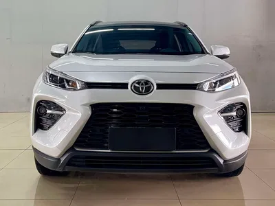2023 Toyota Wildlander 2.0L CVT FWD Luxury PLUS, фото 1, лот 10335410