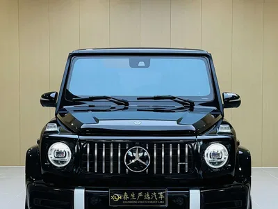 2023 Mercedes-Benz G-Class, фото 2, лот 10295755