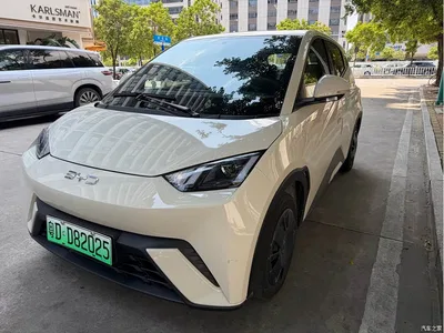 2024 BYD Seagull Glory Edition 305km Freedom Edition, фото 1, лот 10399155
