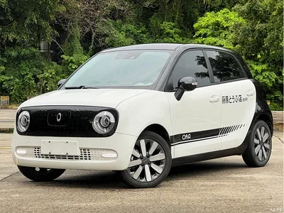 2019 Ora Black Cat 351km Goddess Edition, фото 1, лот 10331560