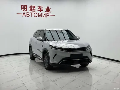 2025 BYD Yuan UP Smart Drive Edition 401KM Vitality Version, фото 3, лот 10275055