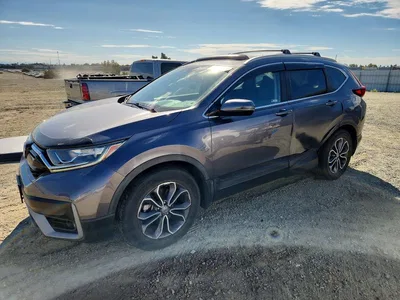2022 HONDA CR-V EXL, фото 1, лот 11314317