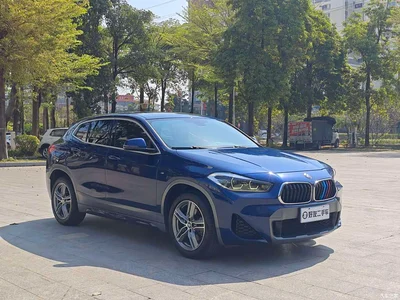 2020 BMW X2 sDrive25i Leading M Off-Road Package, фото 3, лот 10423438
