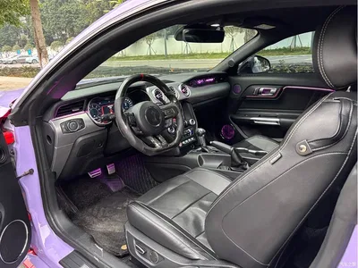 2019 Ford Mustang 2.3L EcoBoost, фото 4, лот 10305744