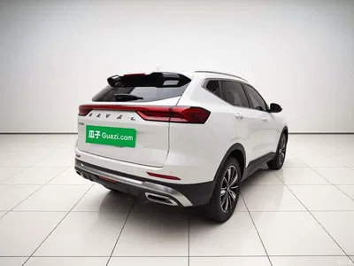 2023 Haval H6 National Trend Edition 1.5T Automatic Champion, фото 4, лот 11492729