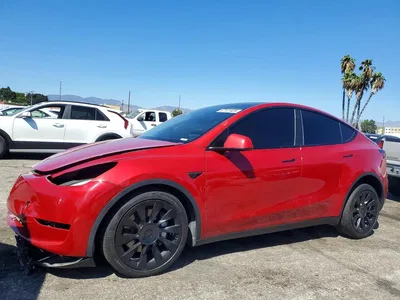 2023 TESLA MODEL Y, фото 1, лот 10855762