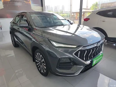 2021 Changan Oshan Changan Oushang X5 1.5T DCT Premium, фото 4, лот 11162525