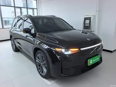 2024 Leapmotor C16 Extended Range 200 Premium Edition, фото 4, лот 11133336