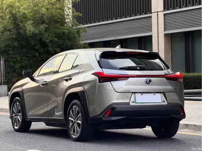 2020 Lexus UX Electric 300e Pure Yue Edition, фото 3, лот 10312997