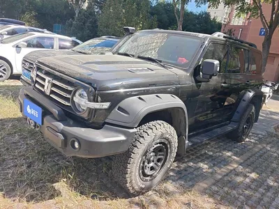 2022 Tank 300 2.0T Tank Ranger, фото 1, лот 10396513