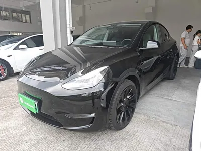 2021 Tesla Model Y Standard Range Rear-Wheel Drive, фото 2, лот 10390125