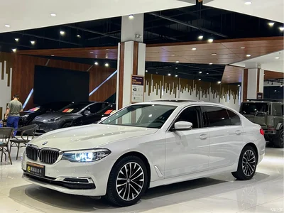 2019 BMW 5 Series Facelift 525Li Luxury Package, фото 1, лот 11016581
