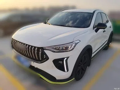 2021 Haval Chitu Turbo Edition 1.5T Golden Rabbit, фото 1, лот 10388613