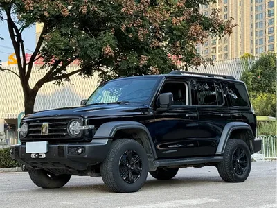 2021 Tank 300 Off-road Version 2.0T Conqueror, фото 1, лот 11189409