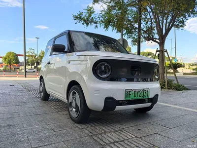 2023 Geely Galaxy Panda Mini New Year Edition - Treasure Bear, фото 3, лот 10429569