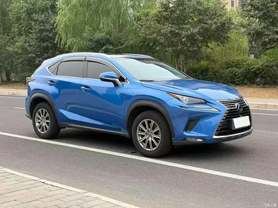 2018 Lexus NX Model 200 AWD Fengshang Edition China V, фото 2, лот 11018364