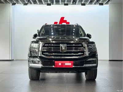 2022 Tank 500 3.0T Black Warrior Limited Edition 5-seater, фото 2, лот 11225252