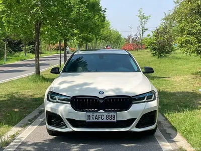2014 BMW 5 Series 520Li Elegance, фото 2, лот 10606547