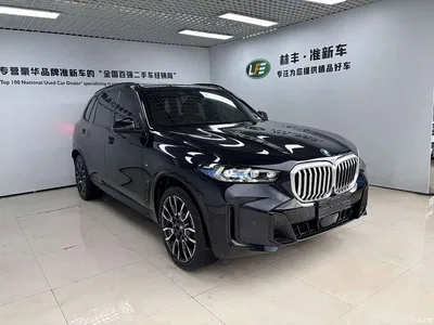 2025 BMW X5 Model xDrive 40Li M Sport Blackout Package, фото 4, лот 11095184