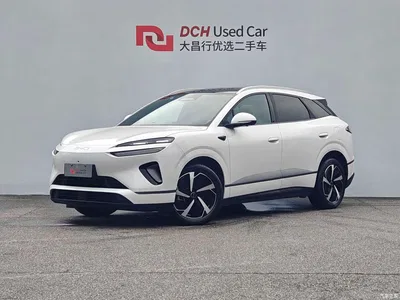 2025 BYD Sealion 06 New Energy DM-i 170 Pilot Pro Edition, фото 1, лот 10275080