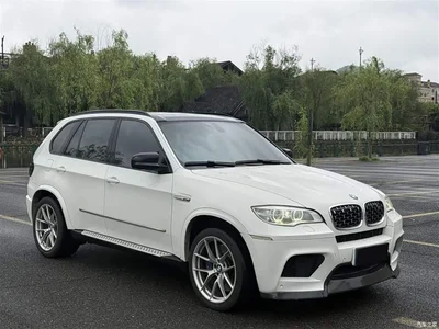 2010 BMW X5 (Import) X5 M, фото 2, лот 10463682