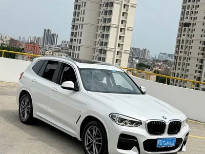 2021 BMW X3 xDrive25i Luxury Package, фото 3, лот 10461321